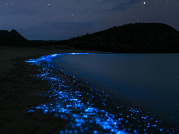 tour de bioluminiscencia en huatulco rio adventure mexico