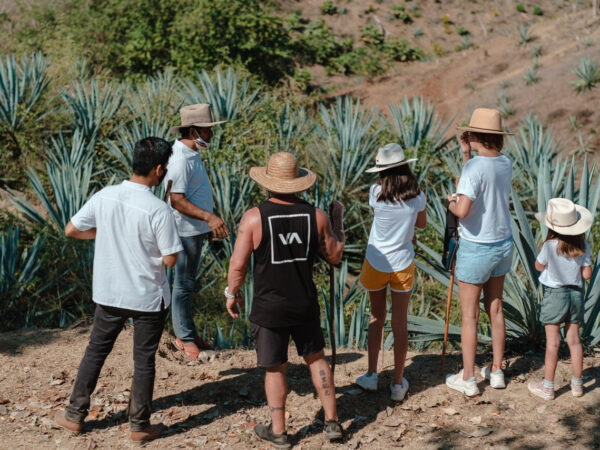 tour gastronómico y de mezcal en Huatulco rio adventure mexico
