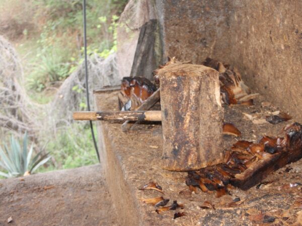 tour en huerto de malinalco rio adventure mexico