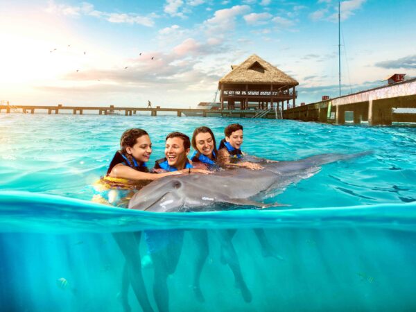 Interacción con Delfin y Club Privado en la Playa para parejas en Cancún