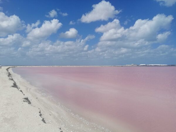 Tour a las Coloradas y el Río Lagartos desde Cancún